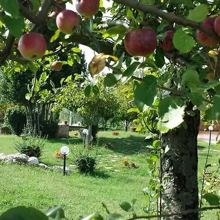 Çiftlik konaklama I Giardini Di Eidos