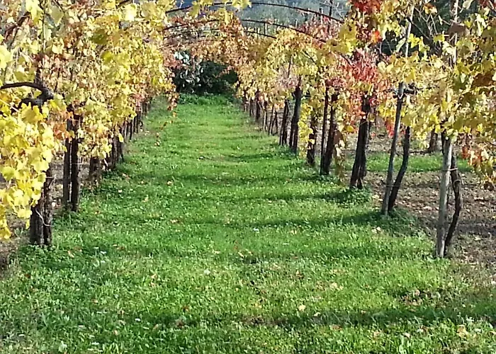 I Giardini Di Eidos Farma *